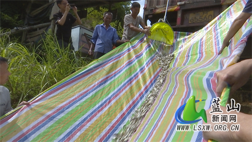 微信图片_20230726153158.jpg 微信图片_20230726153158.jpg