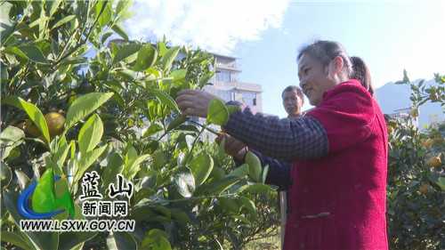 微信图片_20211202110308.jpg 微信图片_20211202110308.jpg