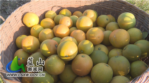 微信图片_20211202110305.jpg 微信图片_20211202110305.jpg