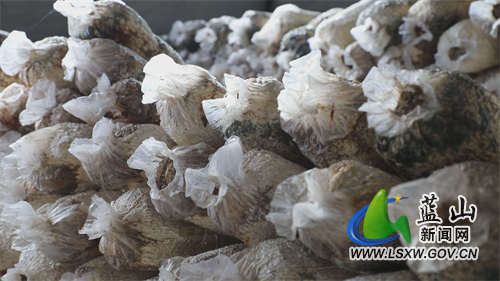 微信图片_202208291717411.jpg 微信图片_202208291717411.jpg