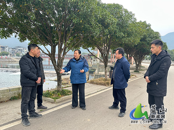 邓群带队巡河并调研人居环境整治情况.jpg