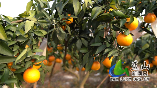 微信图片_202211021631402.jpg 微信图片_202211021631402.jpg