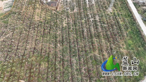 微信图片_20221102163140.jpg 微信图片_20221102163140.jpg