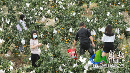 微信图片_202211021631401.jpg 微信图片_202211021631401.jpg