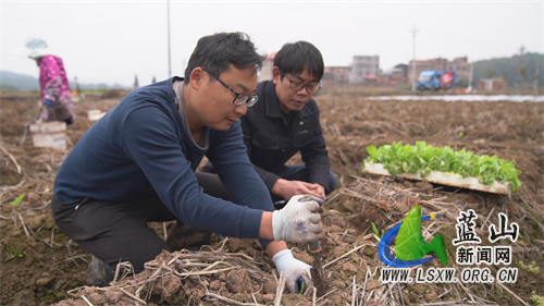 微信图片_202302231713382.jpg 微信图片_202302231713382.jpg