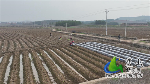 微信图片_20230223171338.jpg 微信图片_20230223171338.jpg