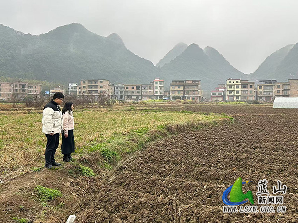 祠堂圩镇纪委:当好春耕生产“监督员”.jpg 祠堂圩镇纪委:当好春耕生产“监督员”.jpg