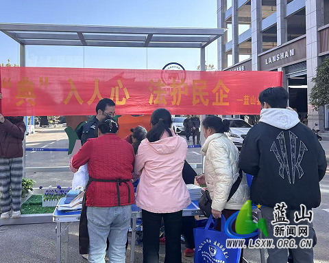 蓝山县司法局开展法治宣传 为民营经济注入“法治动能”.png