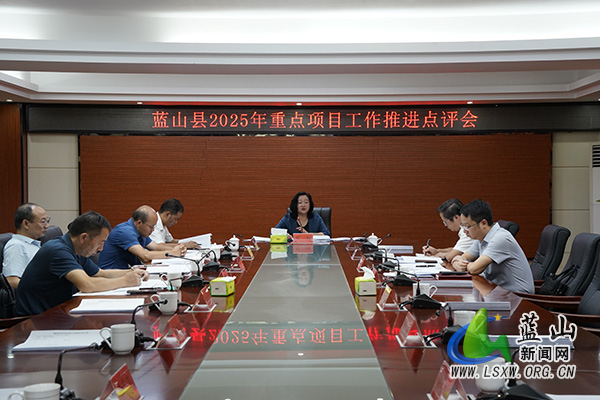 我县召开2025年重点项目工作推进点评会.jpg