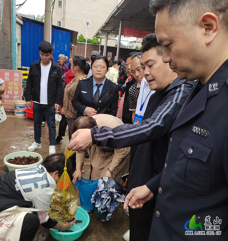 蓝山县多部门开展打击野生动物非法贸易联合行动1.jpg