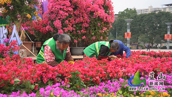 我县繁花似锦迎宾朋  匠心妆点博览会2.jpg