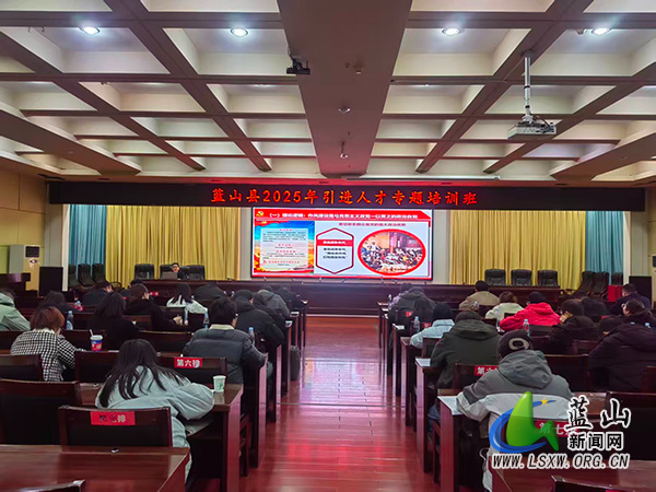 蓝山：多措并举引才聚智 赋能县域高质量发展.jpg