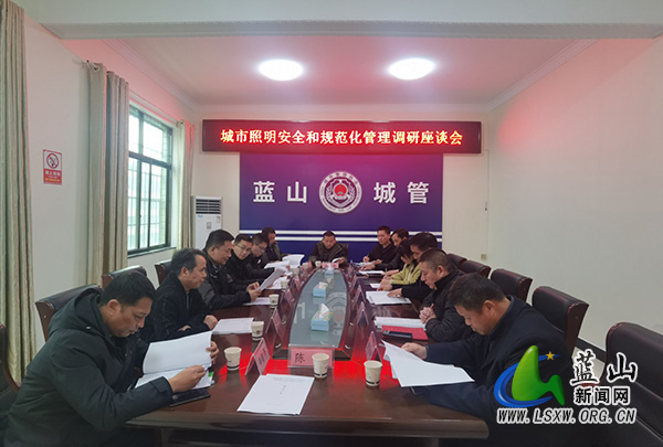 全省城市照明安全及规范化管理调研五组深入蓝山调研指导工作.jpg 全省城市照明安全及规范化管理调研五组深入蓝山调研指导工作.jpg