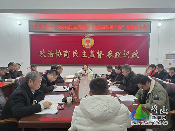 县政协“大力推进光伏建设 壮大新能源产业”专题协商会召开.jpg