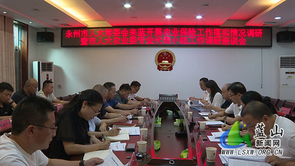 市人大调研组来蓝调研农业保险工作落实情况.jpg 市人大调研组来蓝调研农业保险工作落实情况.jpg