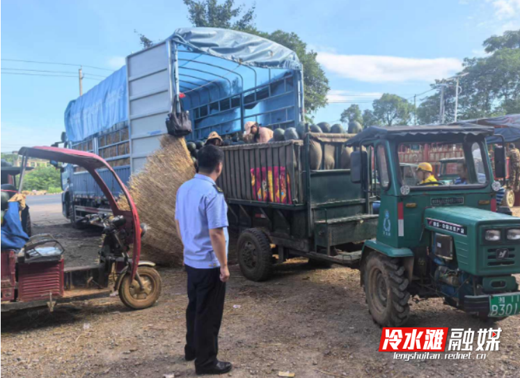 1751595545039.jpg 1751595545039.jpg