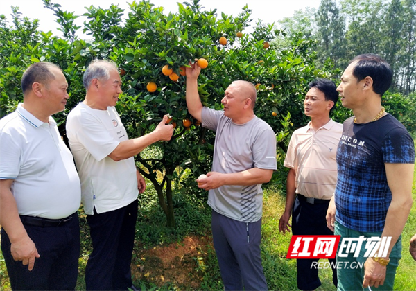 图片6.png 图片6.png