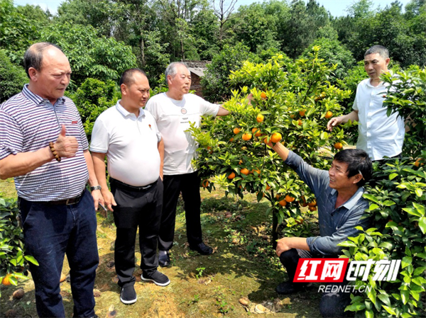 图片7.png 图片7.png