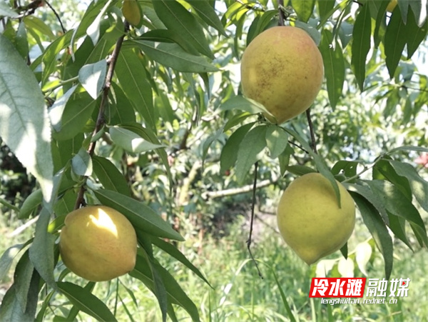 微信图片_20240730102037.jpg 微信图片_20240730102037.jpg