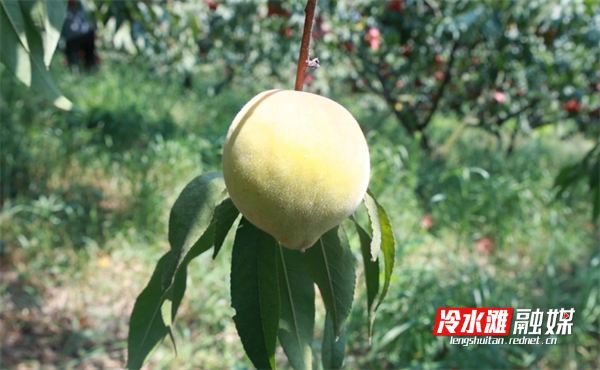 微信图片_20240730102033.png 微信图片_20240730102033.png