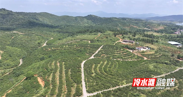 微信图片_20240730102017.jpg 微信图片_20240730102017.jpg