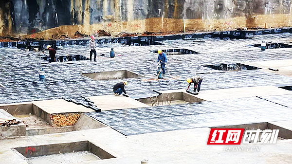 3_副本.jpg 3_副本.jpg