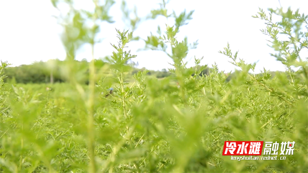 微信图片_20230203155554.png 微信图片_20230203155554.png