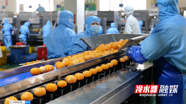 微信图片_20230203155315.png 微信图片_20230203155315.png