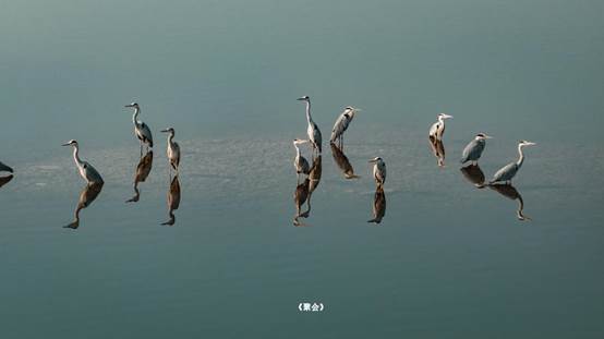 6aa1981aa8c8e2f30de9e7dba3439a1