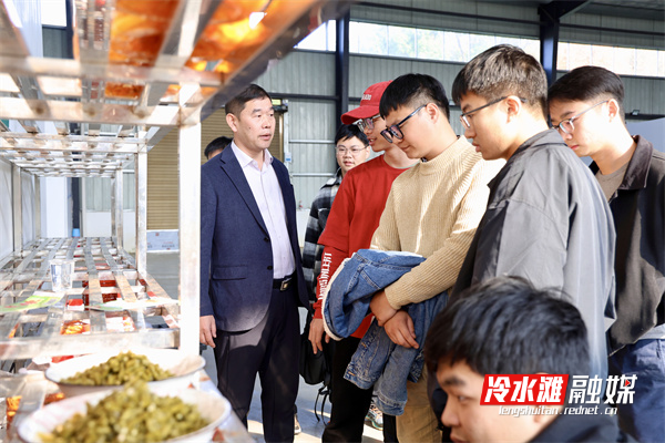 微信图片_20251215154026_943_1.jpg 微信图片_20251215154026_943_1.jpg