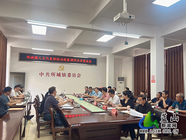 曹晓春率队到所城镇开展燃气专项视察调研活动.jpg 曹晓春率队到所城镇开展燃气专项视察调研活动.jpg