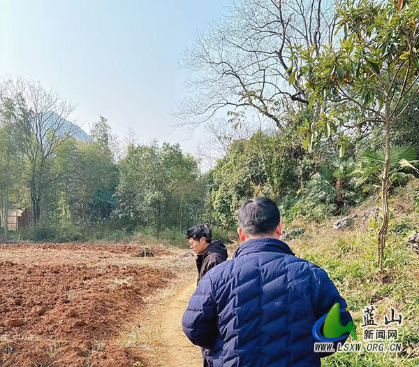 祠堂圩镇:积极行动,力保耕地图斑及永久基本农田.jpg 祠堂圩镇:积极行动,力保耕地图斑及永久基本农田.jpg