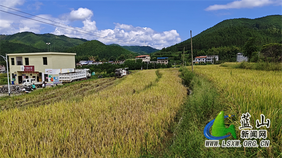 微信图片_20230921091941.jpg 微信图片_20230921091941.jpg