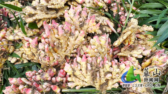 微信图片_20231113153851.jpg 微信图片_20231113153851.jpg