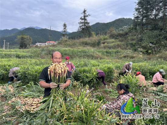 微信图片_20231110163919.jpg 微信图片_20231110163919.jpg