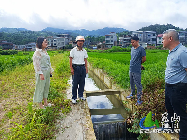 大桥瑶族乡人大：扛牢粮食安全重任 践行为民初心.jpg