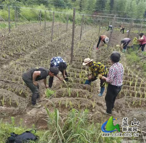 骆斌：以村为家 乡村振兴永远在路上.jpg