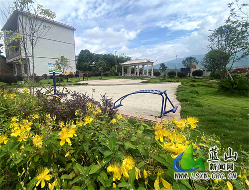 今年65.jpg 今年65.jpg