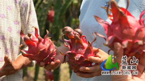 微信图片_20230807161911.jpg 微信图片_20230807161911.jpg