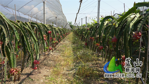 微信图片_20230807162140.jpg 微信图片_20230807162140.jpg