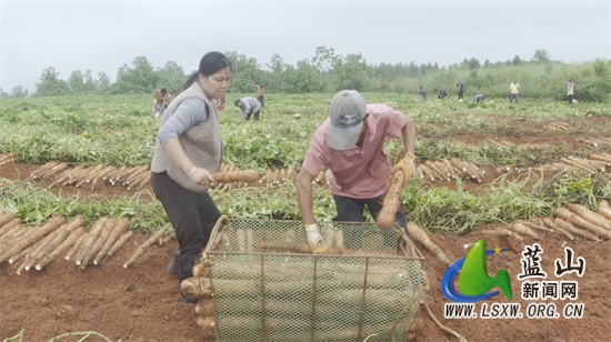 微信图片_20241018114825.jpg 微信图片_20241018114825.jpg