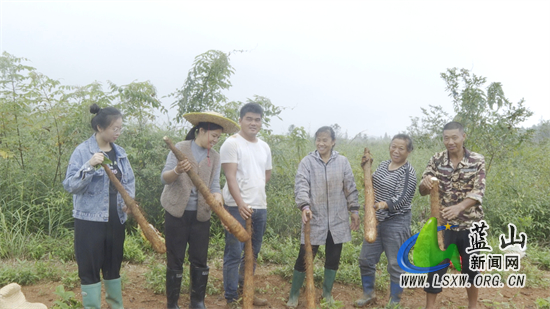 微信图片_20241018114824.jpg 微信图片_20241018114824.jpg