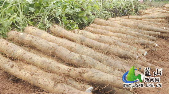 微信图片_20241018114823.jpg 微信图片_20241018114823.jpg