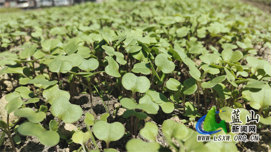 微信图片_20231023100112.jpg 微信图片_20231023100112.jpg