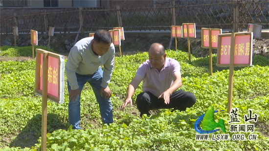 微信图片_20231023100217.jpg 微信图片_20231023100217.jpg