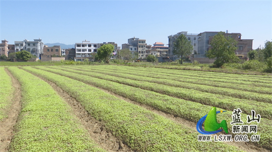 微信图片_20231023100224.jpg 微信图片_20231023100224.jpg