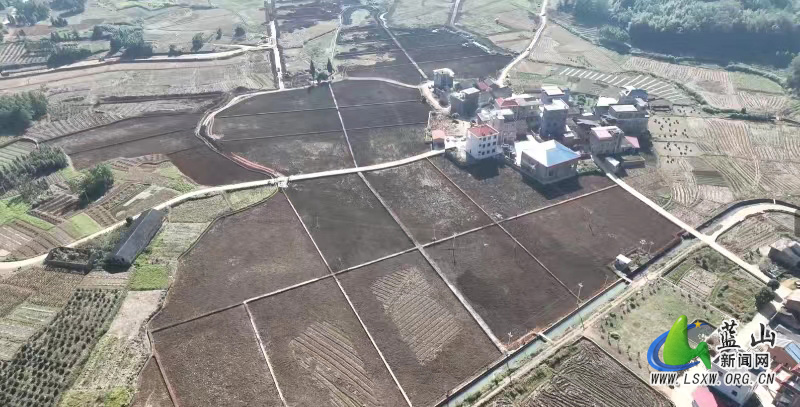 蓝山：抢抓冬闲夯“耕”基&ensp;全力推进高标准农田建设13.jpg