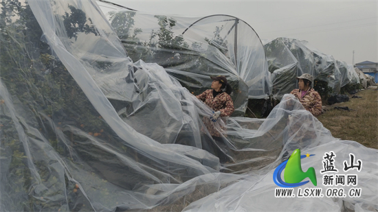 微信图片_20231218111925.jpg 微信图片_20231218111925.jpg