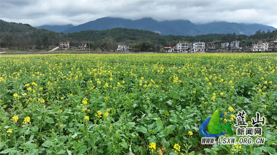 微信图片_20240201164607.jpg 微信图片_20240201164607.jpg