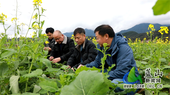 微信图片_20240201164608.jpg 微信图片_20240201164608.jpg